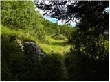 Planina Polog - Vrh Planje